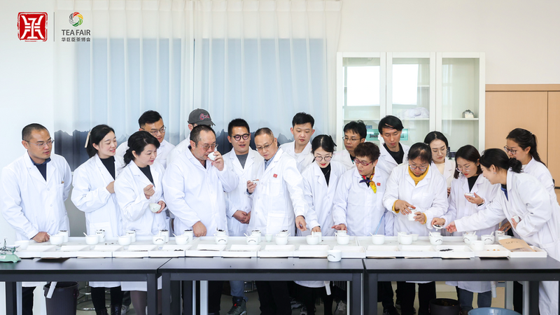 有关于12月茶情，黔茶飘香中阿峰会 荣耀加身喜迎新年的信息(4)