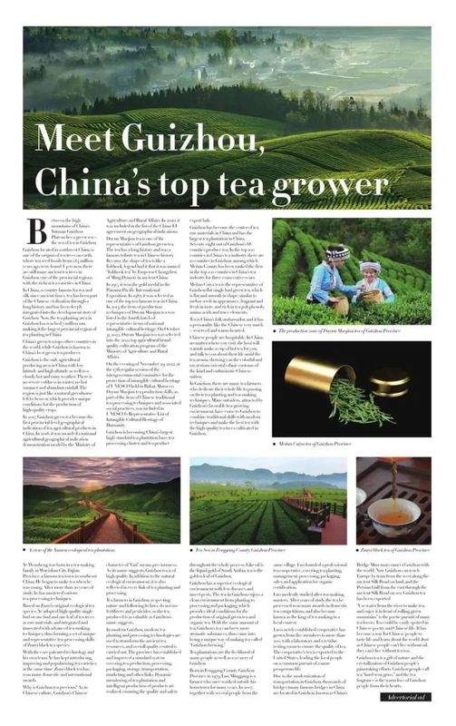 有关于12月茶情，黔茶飘香中阿峰会 荣耀加身喜迎新年的信息(8)