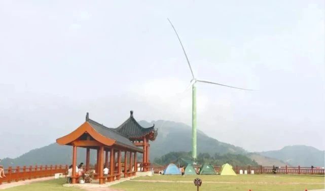 关于做大做强动力更强信心更足，梧州市六堡茶产业发展实现“三大”突破的相关信息(3)