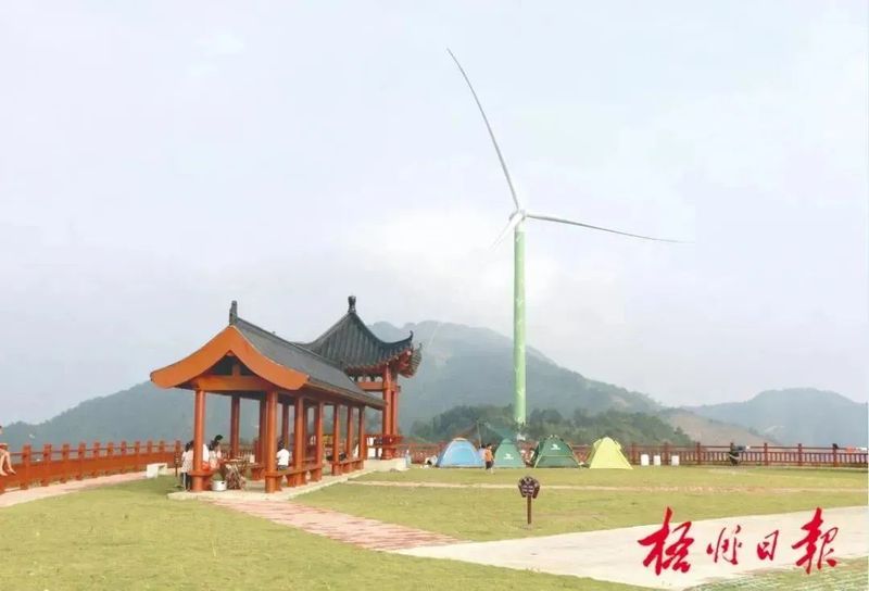 有关于梧州市六堡茶产业发展实现“三大”突破的相关内容(3)