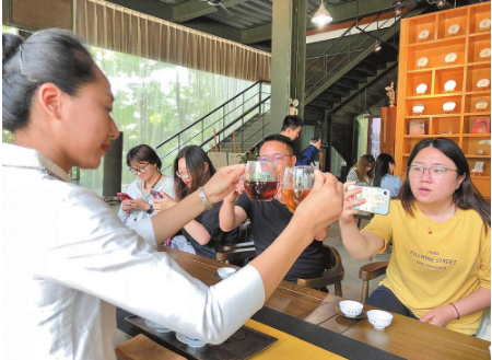 关于云南:保护与发展并重 推动茶文化走向世界的最新消息