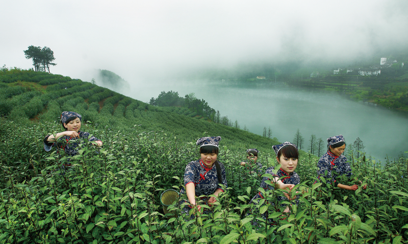 有关于浙江金华：一城山水一壶茶的消息(1)