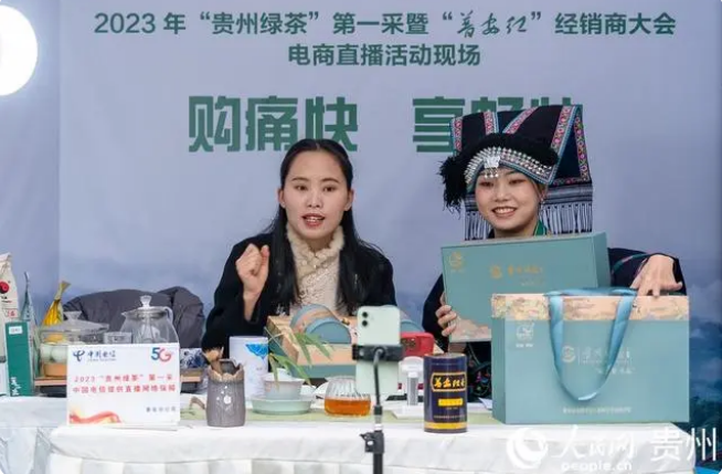 有关于贵州普安迎来新年绿茶第一采的新闻(11)
