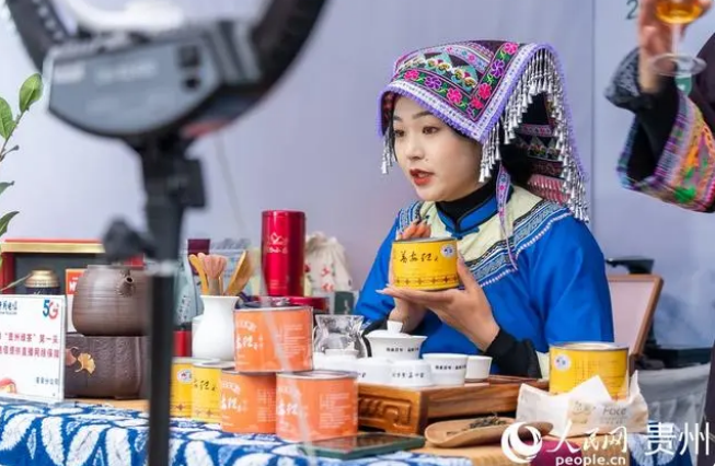 有关于贵州普安迎来新年绿茶第一采的新闻(12)
