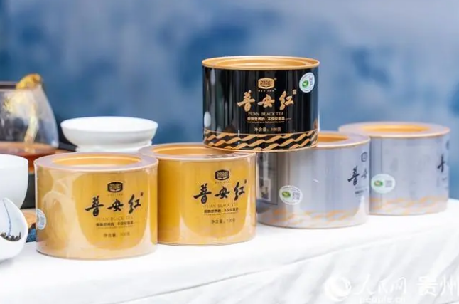 有关于贵州普安迎来新年绿茶第一采的新闻(13)