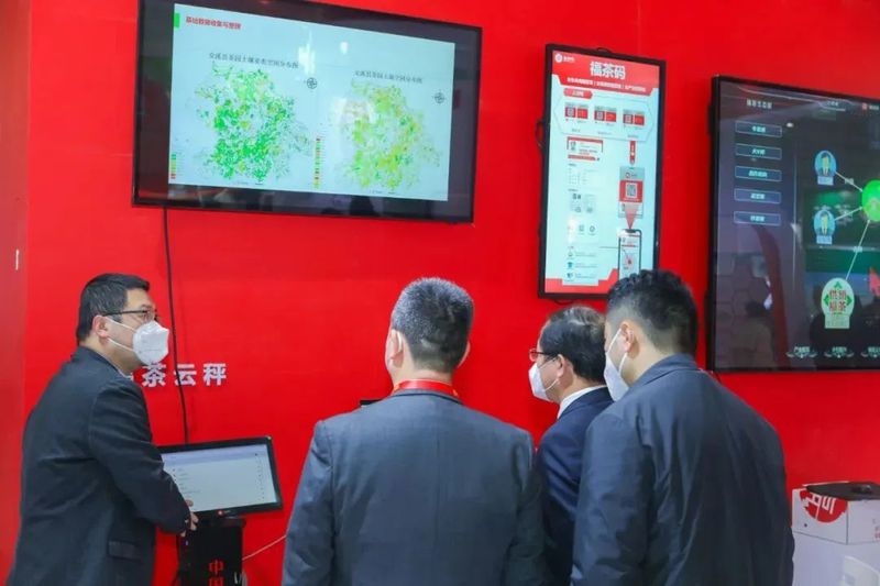 关于茶产业数字化布局加速，中国茶产业互联网垂直平台发展成效亮眼的信息(7)
