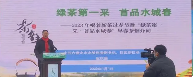 有关于喝着喝着，春天就来了：绿茶第一采 首品水城春的最新消息
