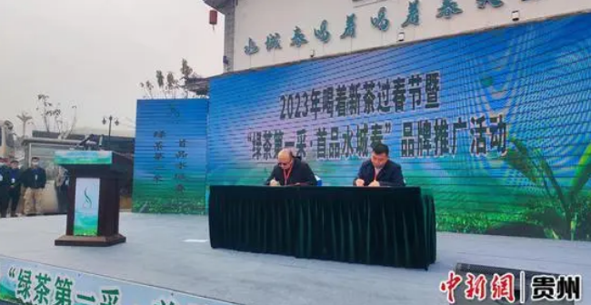 有关于2023年贵州“水城春”早春茶抢“鲜”开采的新闻