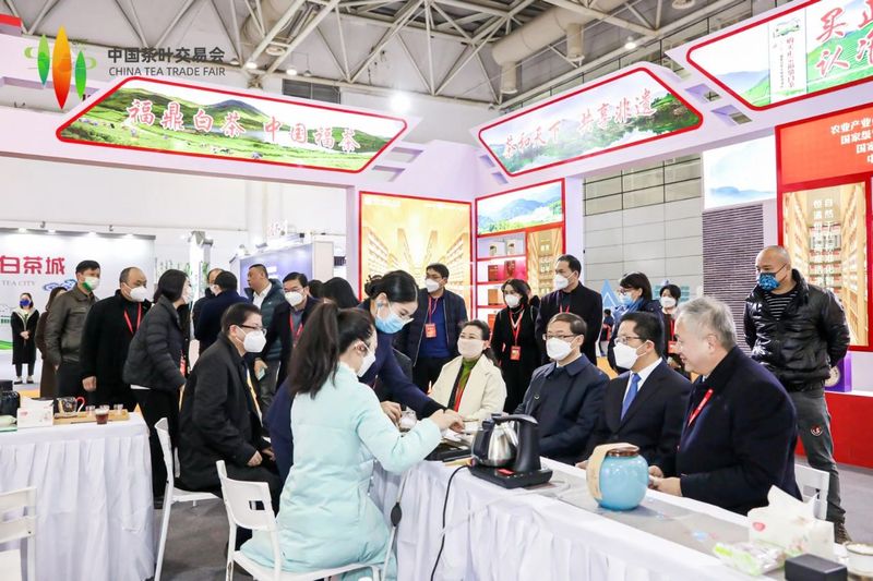 有关于福鼎白茶亮相首届中国茶叶交易会,拉开福鼎白茶电商年货节序幕的信息(12)