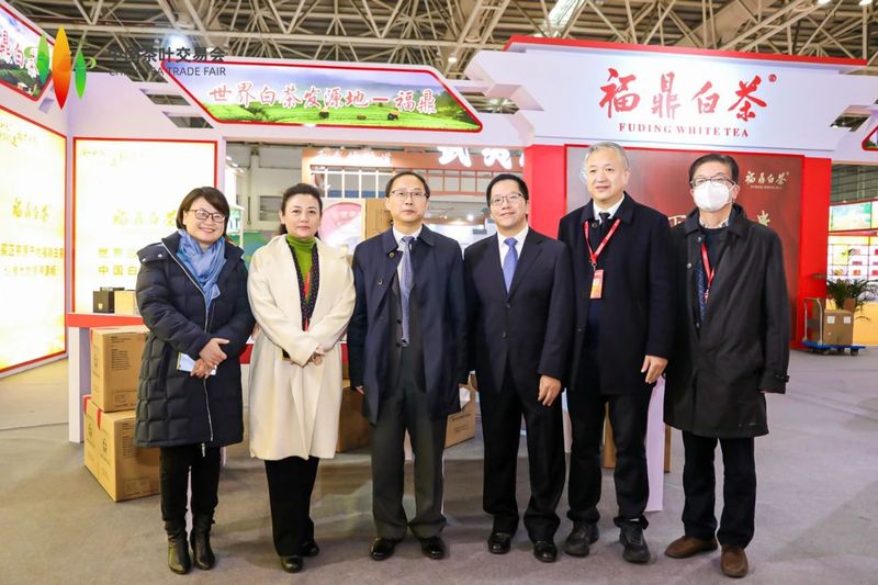 有关于福鼎白茶亮相首届中国茶叶交易会,拉开福鼎白茶电商年货节序幕的信息(11)
