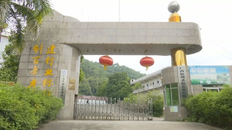 有关于奋进2022·梧州答卷,六堡茶产业发展驶上“快车道”的相关信息