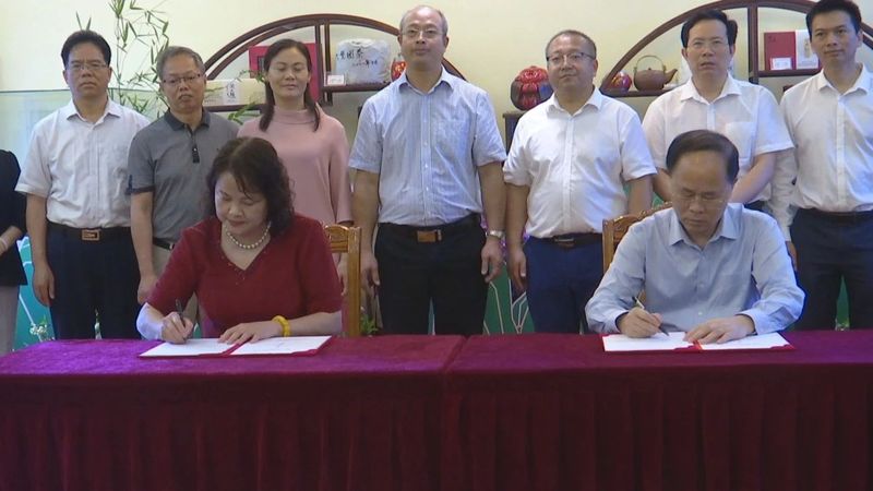 有关于奋进2022·梧州答卷,六堡茶产业发展驶上“快车道”的相关信息(3)