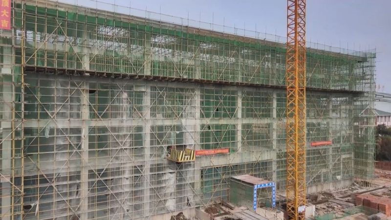 有关于奋进2022·梧州答卷,六堡茶产业发展驶上“快车道”的相关信息(4)