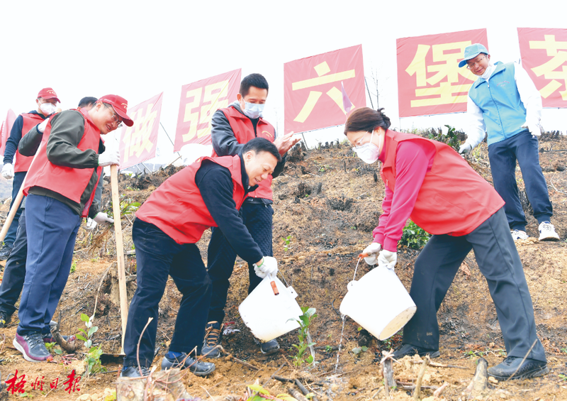 关于梧州市举行2022—2023年冬春生态茶园建设启动仪式暨黑石山茶文旅综合体项目开工仪式的相关信息(1)