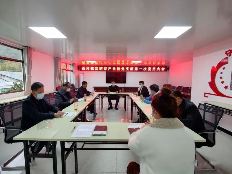 关于西河镇召开富硒茶产业链党支部第一次党员大会的新闻