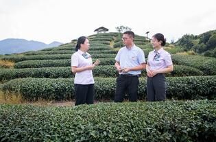 有关于农行漳州分行:味茶产业持续加大金融服务的新闻