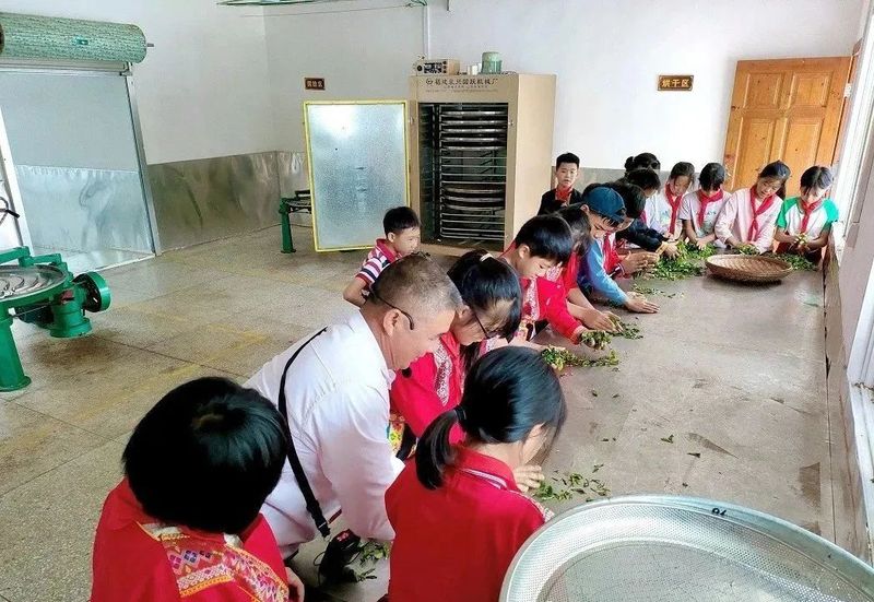 有关于蒙山县夏宜民族学校：“红领巾”进茶园 感受茶文化的相关信息(5)