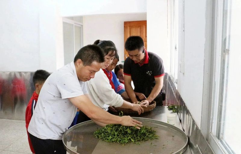 有关于蒙山县夏宜民族学校：“红领巾”进茶园 感受茶文化的相关信息(6)