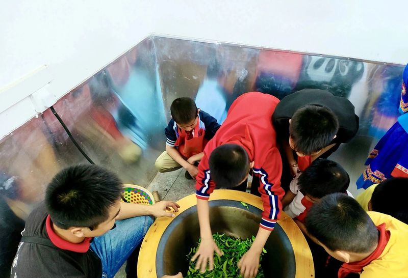 有关于蒙山县夏宜民族学校：“红领巾”进茶园 感受茶文化的相关信息(7)