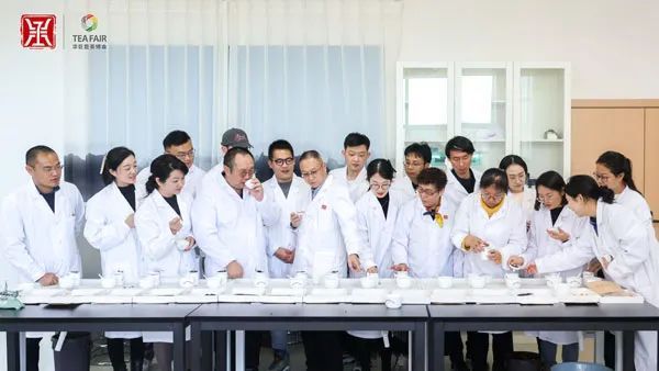 有关于“中茶杯”第十二届国际鼎承茶王赛（秋季赛）在云南省农业科学院茶叶研究所成功举办的相关内容(2)