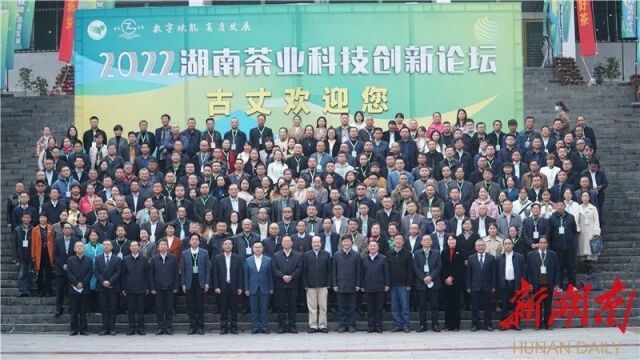 有关于2022年湖南茶业科技创新论坛在古丈举行的资讯(5)