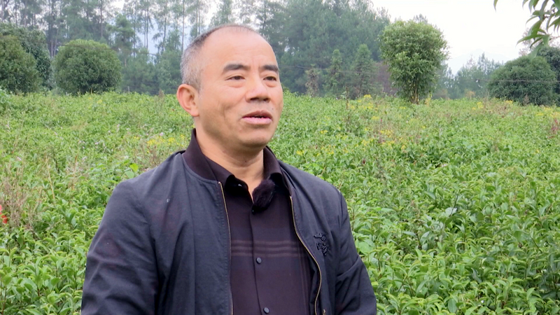 关于土溪镇：立足自身优势  助推产业发展的相关内容(1)