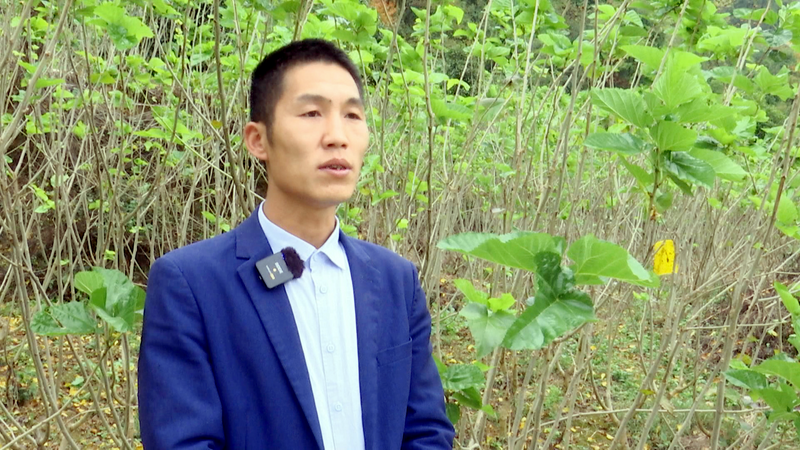 关于土溪镇：立足自身优势  助推产业发展的相关内容(4)