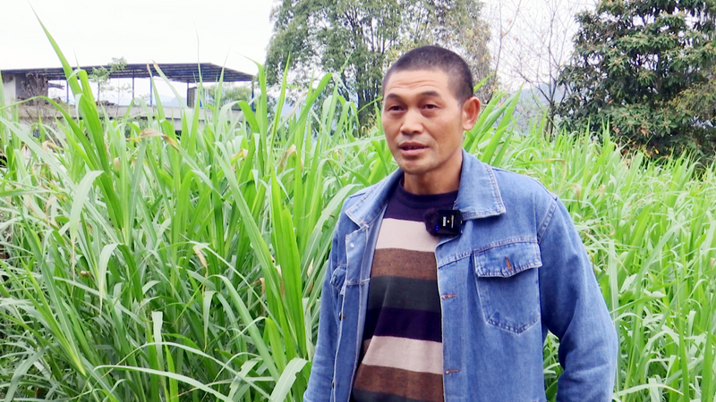 关于土溪镇：立足自身优势  助推产业发展的相关内容(3)