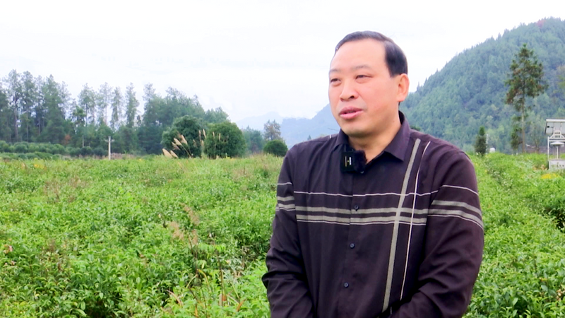 关于土溪镇：立足自身优势  助推产业发展的相关内容(2)