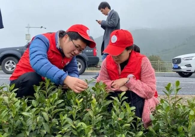 关于在“一片叶子富了一方百姓”的安吉，遇到干旱该咋办？的内容(7)