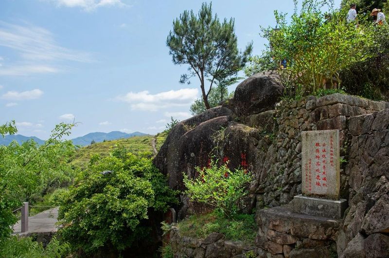 关于非遗大会“中国茶”申遗成功！（含6个福建非遗项目）的内容(5)