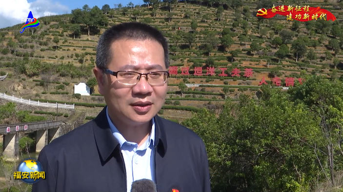 有关于央视持续关注福安市坦洋村茶产业新发展引发热烈反响的最新消息(5)