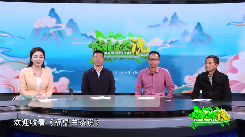 关于《福鼎白茶说》——茶园越冬的信息