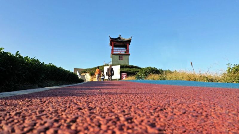 有关于茶园变身“打卡地” 茶旅融合风景新的消息(3)
