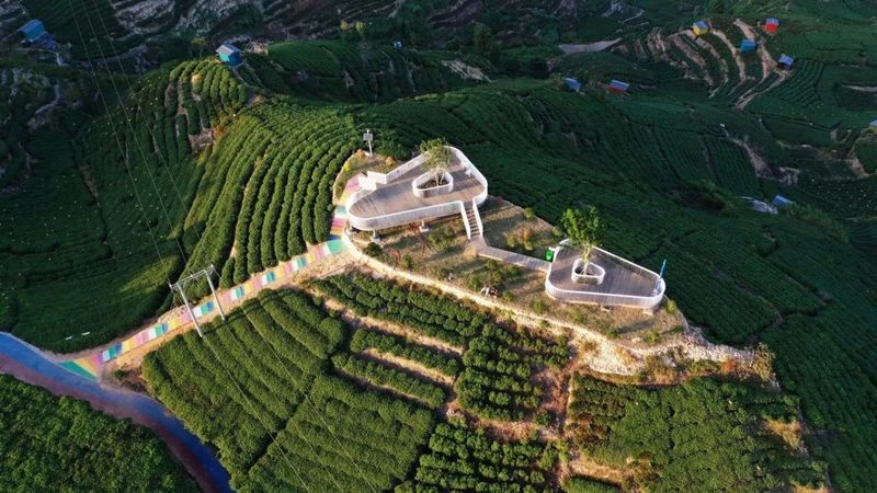 有关于茶园变身“打卡地” 茶旅融合风景新的消息(2)