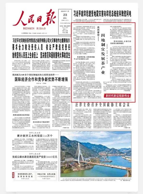 有关于《人民日报》头版聚焦贵州普安：因地制宜发展茶产业的新闻