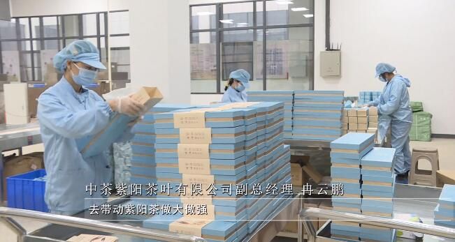 有关于紫阳县：把茶产业作为高质量发展的强力“引擎”的相关信息(2)