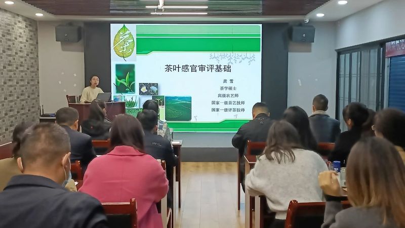关于2022贵州绿茶评茶员第三期培训班第二日——读懂茶叶的色香味形的新闻
