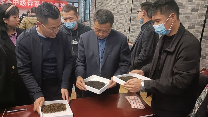 关于2022贵州绿茶评茶员第三期培训班第二日——读懂茶叶的色香味形的新闻(4)