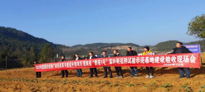 有关于深化“院县合作” 助推思南县茶产业高质量发展的消息