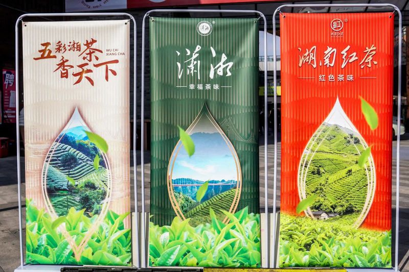 关于三湘四水五彩茶 五彩湘茶香天下 “五彩湘茶”第二轮五进活动走进阳光100社区的相关内容(15)