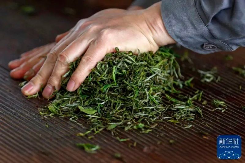 关于聚焦茶非遗！百年祁红的“成长”之路的信息(1)