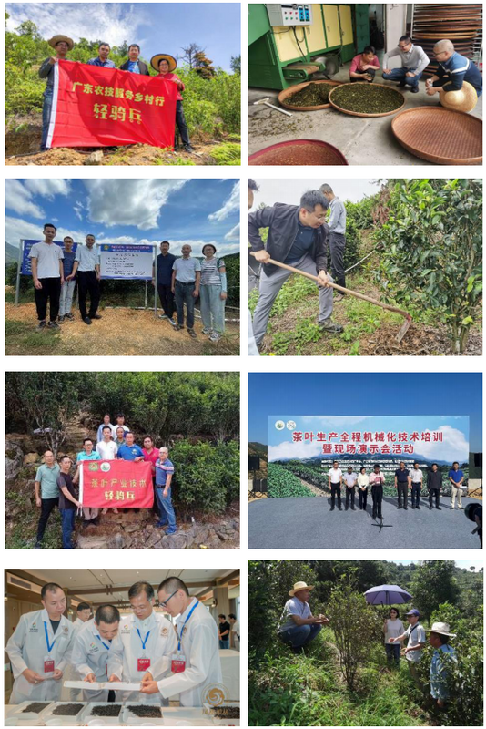 有关于四级“轻骑兵”联动，加快潮州茶产业提质升级的资讯