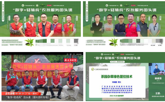 有关于四级“轻骑兵”联动，加快潮州茶产业提质升级的资讯(4)