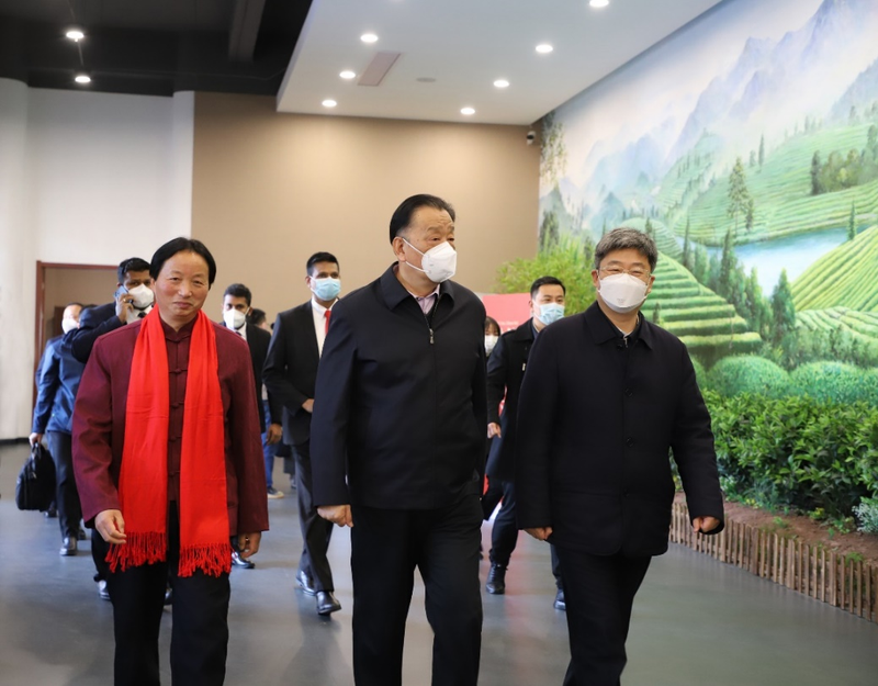 关于“世界香 中国红”2023“世界三大高香红茶祁门对话”活动成功举办的相关内容(5)