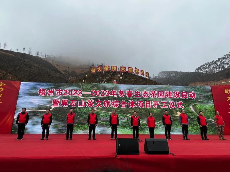 有关于黑石山上的茶文旅项目开工了的相关信息