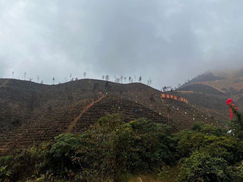 有关于黑石山上的茶文旅项目开工了的相关信息(3)