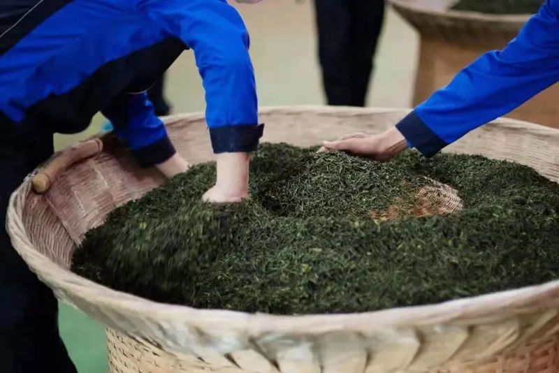 有关于聚焦茶非遗！“沉浸式”解密六安瓜片制作技艺的最新消息(1)