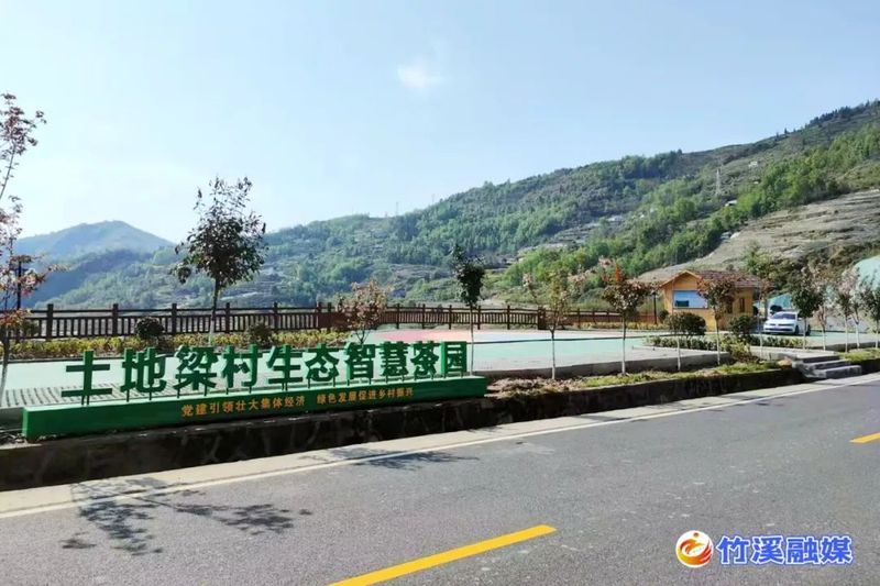 有关于土地梁村：茶里着墨兴产业 故里落笔建新乡的最新消息