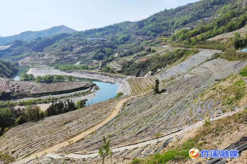 有关于土地梁村：茶里着墨兴产业 故里落笔建新乡的最新消息(1)